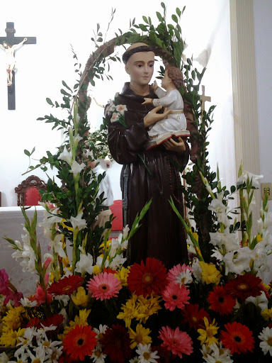 imagem de santo antonio