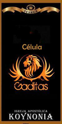 celula