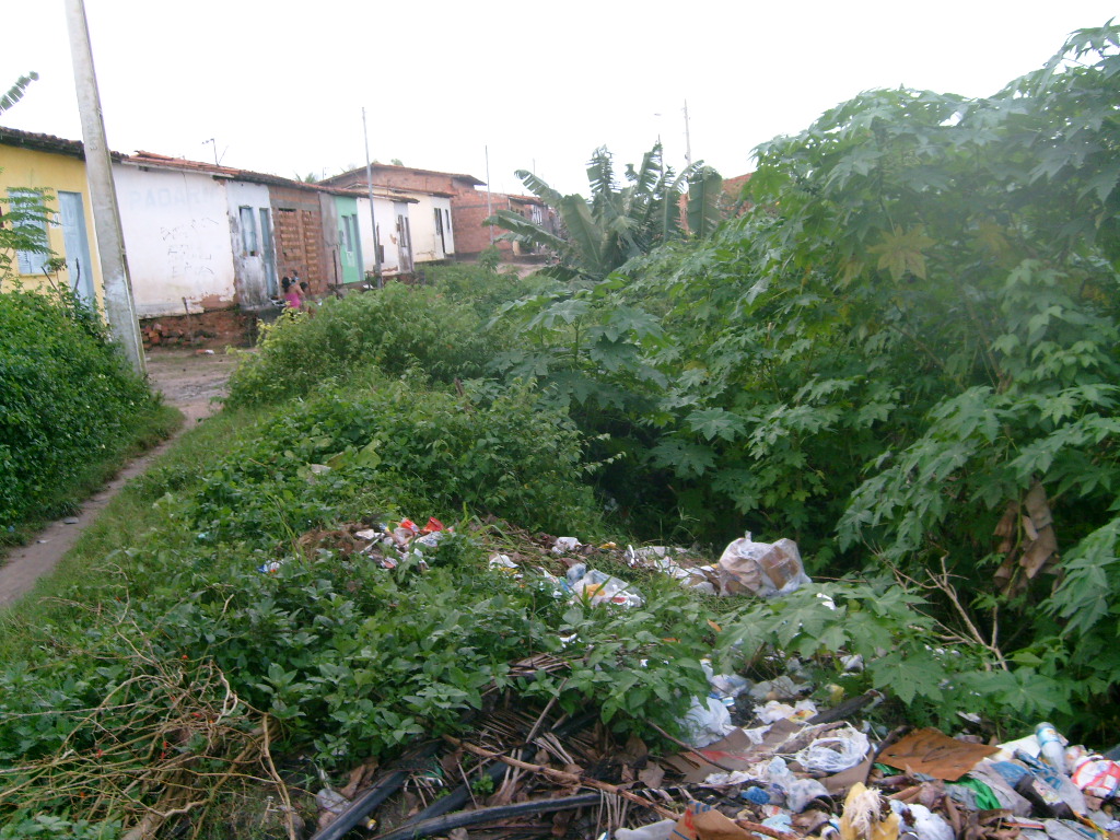 ÀREA DE RISCO E POLUIÇÃO: LIXO E DESMORONAMENTO DE BARREIRA, AFLIGEM MORADORES, DO CONJUNTO SAO RAIMUND. 