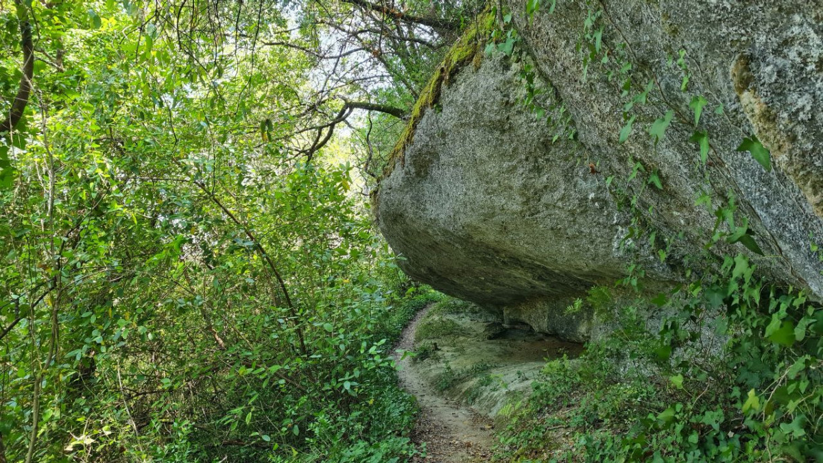 Pedra