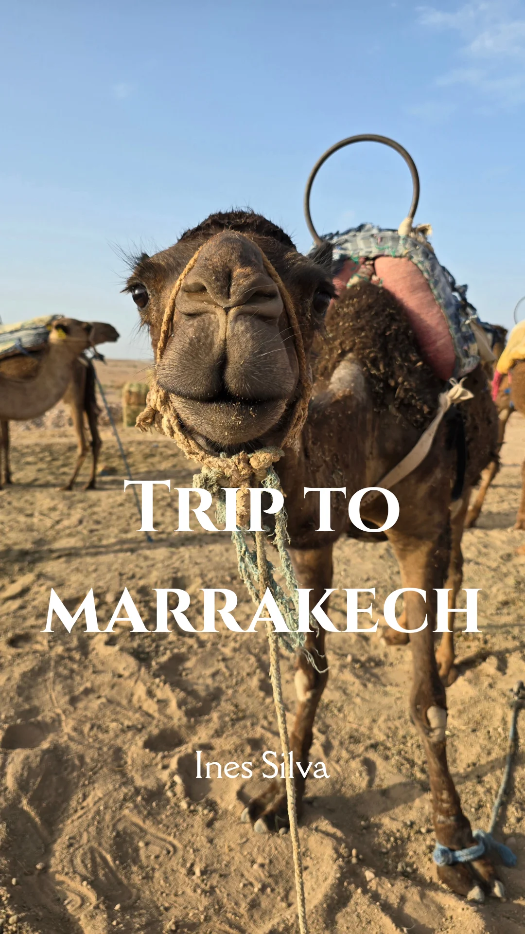 Marocco