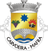 CarvoeiraLogo