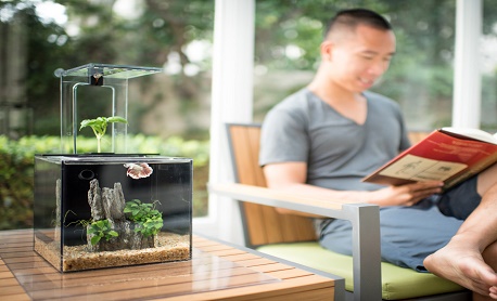 Conheça “EcoQube C” um aquário que usa filtro com plantas para manter água limpa