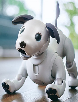 Saiba tudo sobre “Aibo” o novo cachorro-robô da Sony que usa IA para aprender com o dono