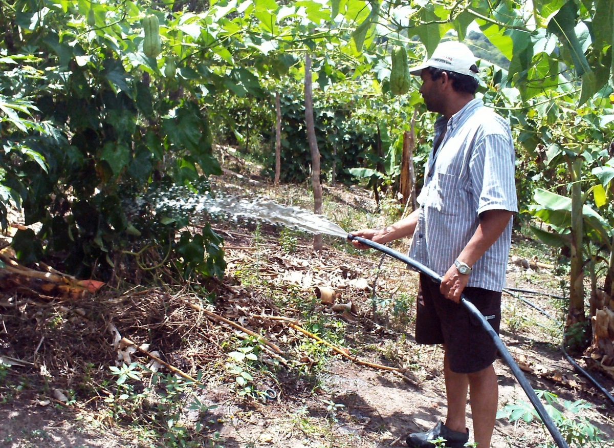 irrigação