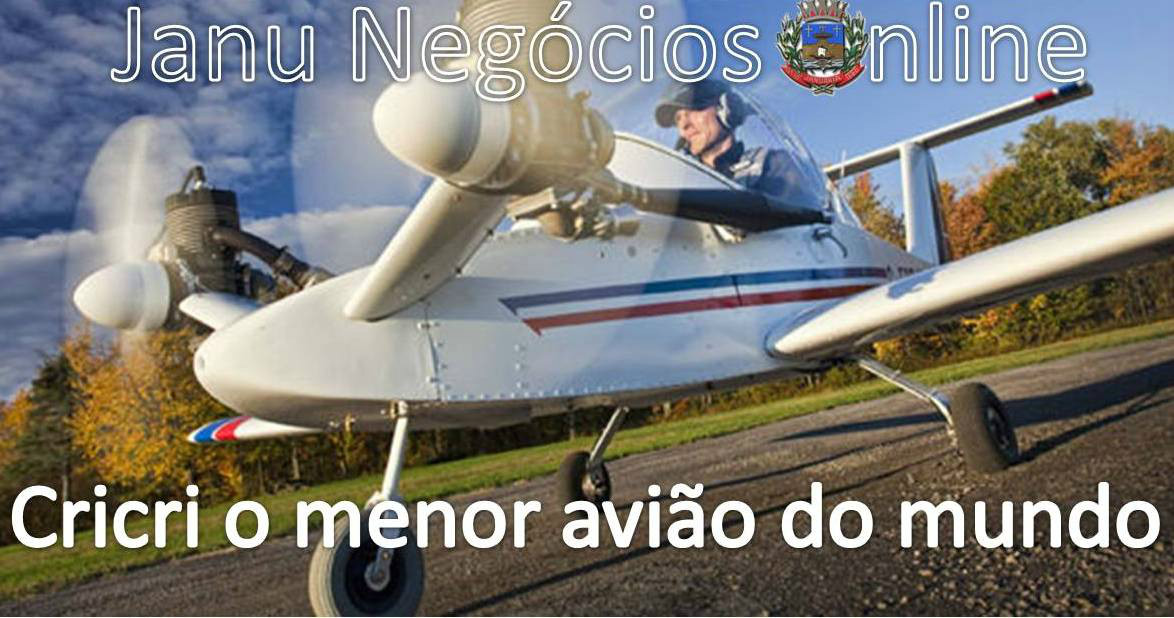 Menor aviao do mundo