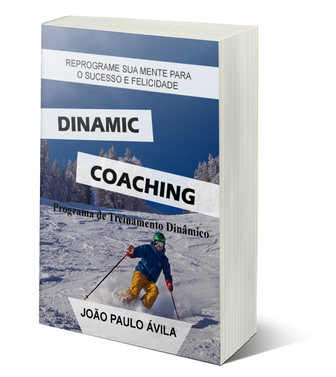 Curso Dinamic Coaching