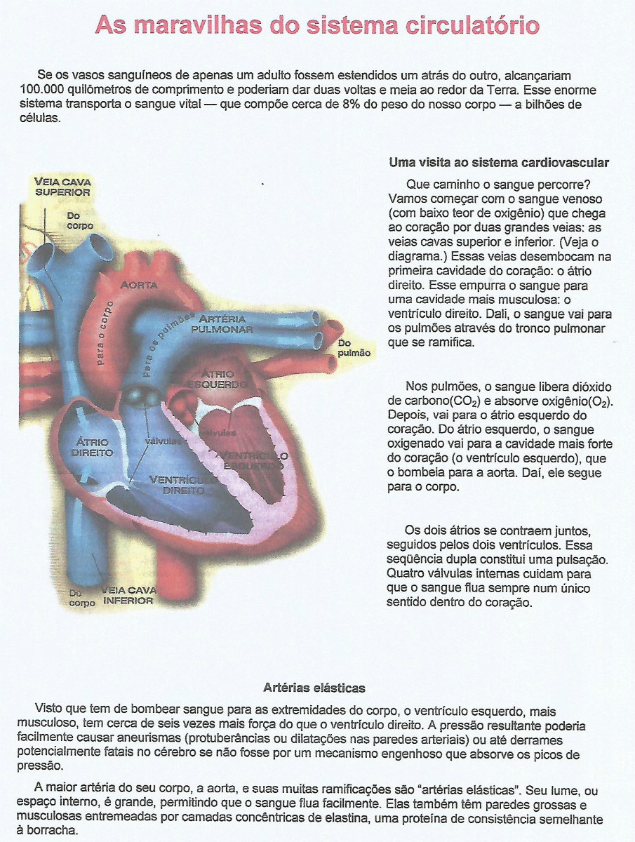 Sistema Circulatório parte 2