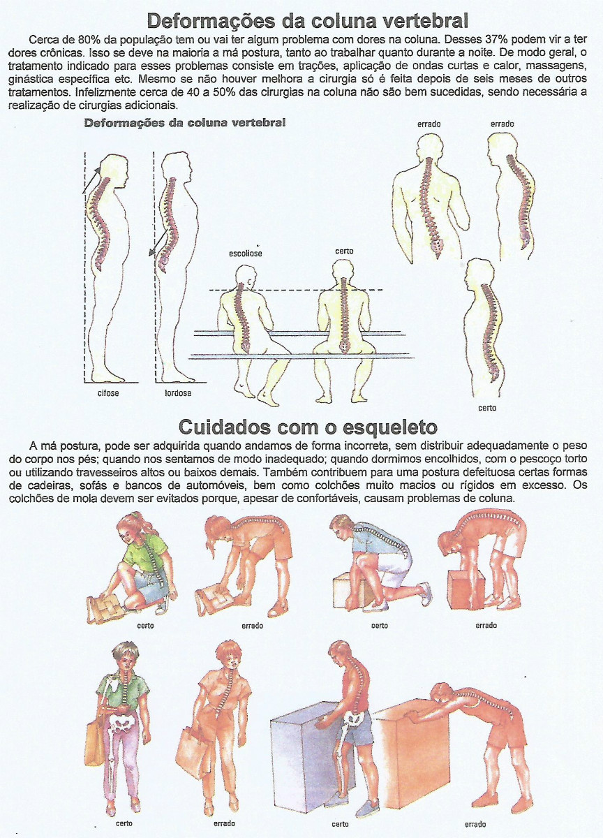 Sistema Osseo parte 3