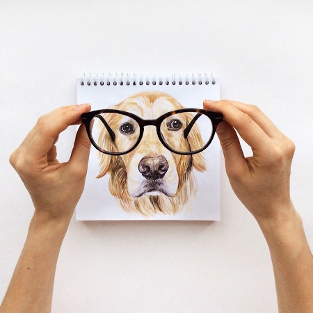 Lindos cachorros de raça de oculos