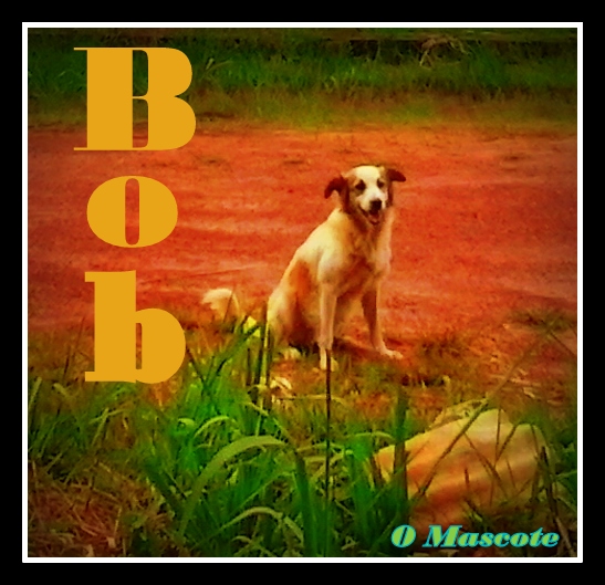 bob