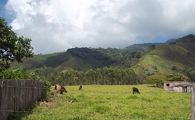 vista da serra