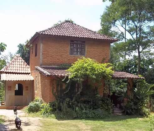 tenda dos remedios