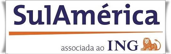 logo sul america