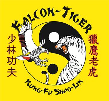 Logo FalconTiger