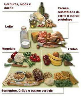 <img src="https://img.comunidades.net/meu/meusitedeprodutos/piramide_alimentos.jpg" border="0">