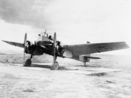 Tomasevich Pegasus / Tomasevich Pegas