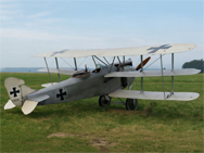 AEG C.VIII (S&eacute;rie C)