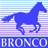 Logo_Bronco Models