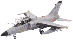 AMX International