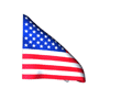 Flag_E.U.A.