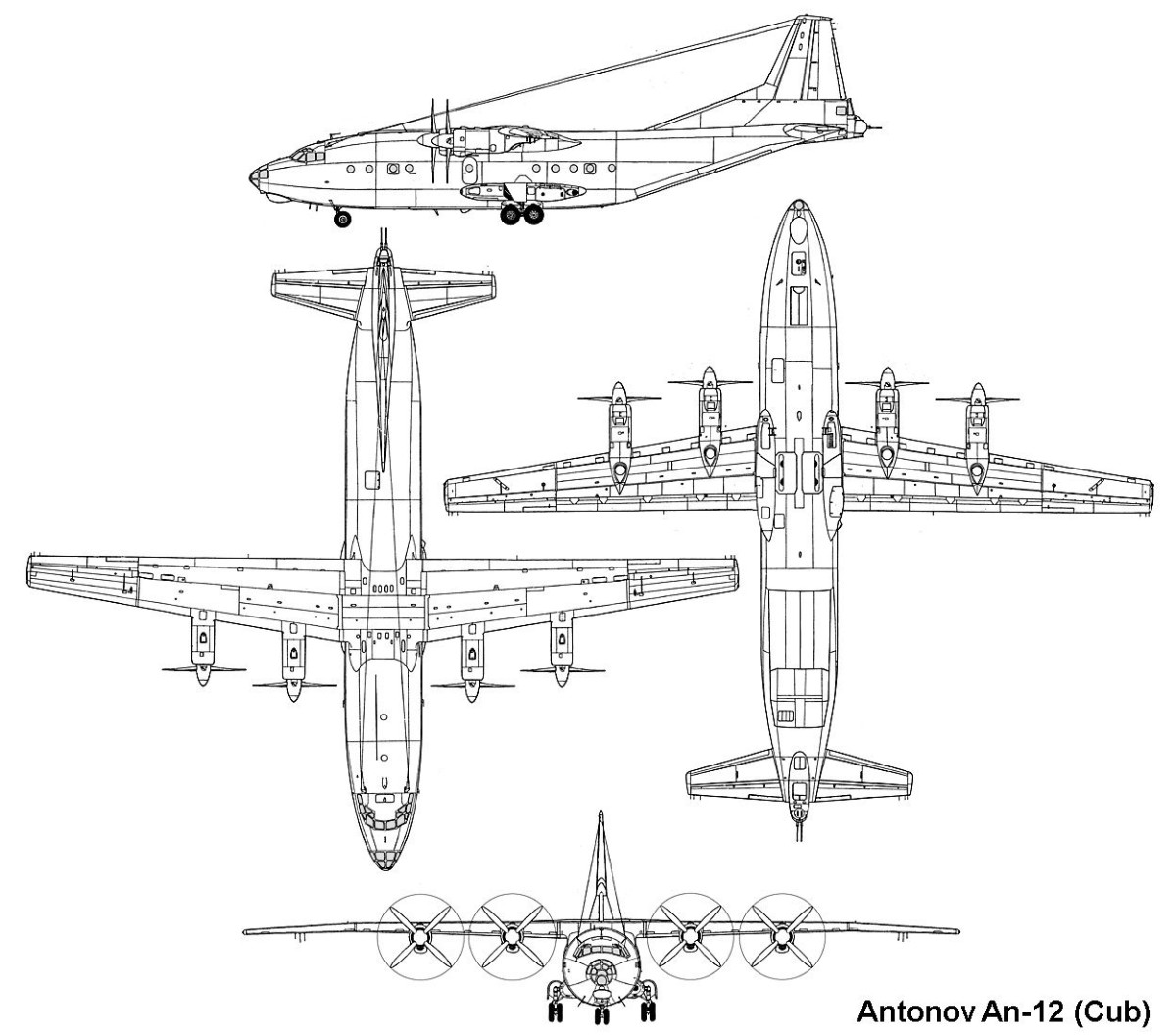 Antonov An-12 (Cub)