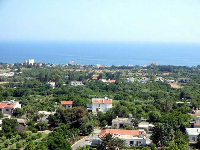 AA