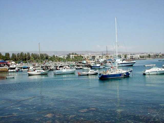 AA