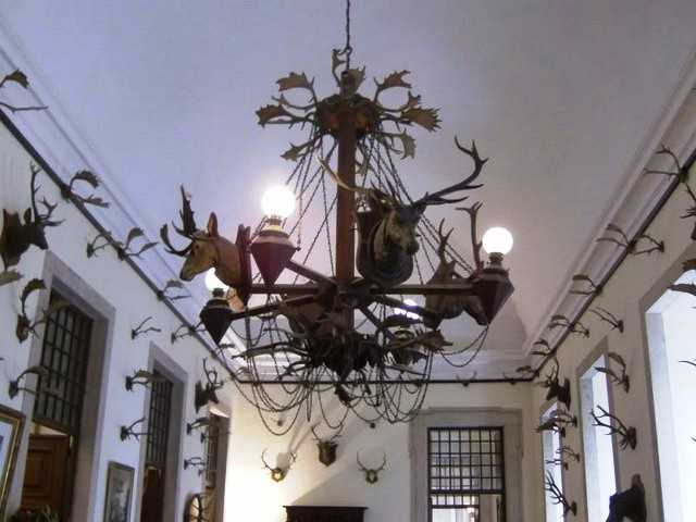 AA