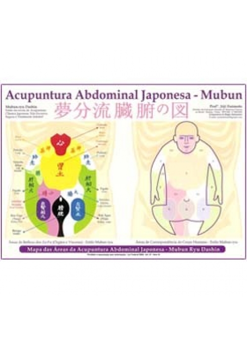 acupuntura abdominal japonesa joji enomoto