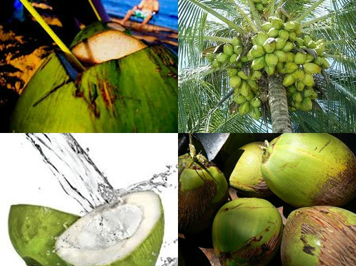 Agua de coco