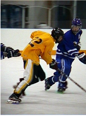 In Line Roller Hockey