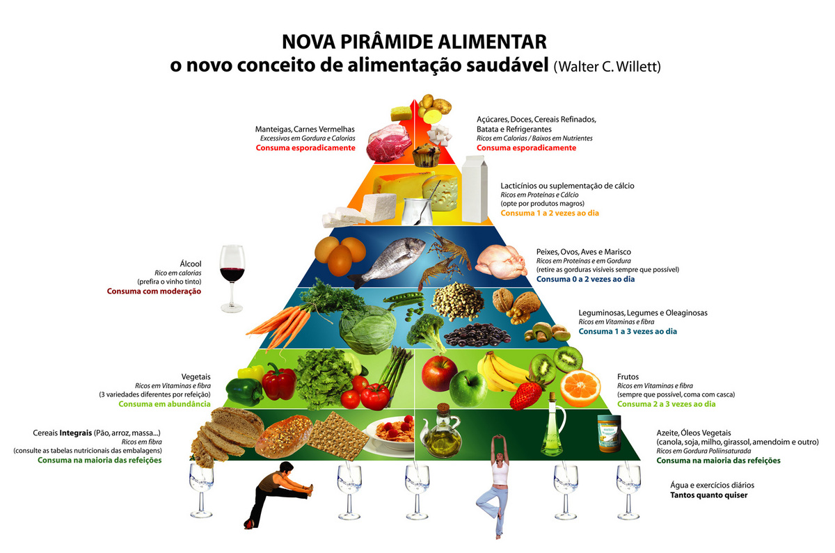 PIRÂMIDE ALIMENTAR