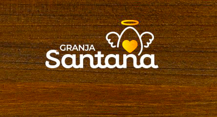 QUANTOS OVOS  VOC&Ecirc; CONSEGUE VER E ONDE EST&Aacute; A GALINHA?