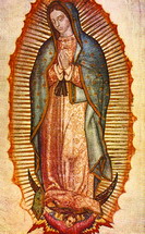 Imagem miraculosa de Nossa Senhora de Guadalupe