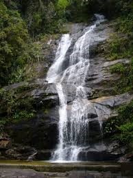 Floresta da Tijuca