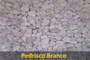 Pedrisco Branco