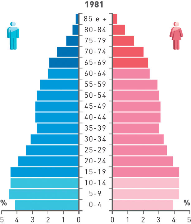 Pirâmide etária de Portugal - 1981.