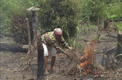 Abertura de clareira para a prática agrícola em Moçambique.