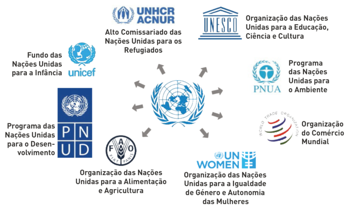 Alguns dos organismos das Nações Unidas.