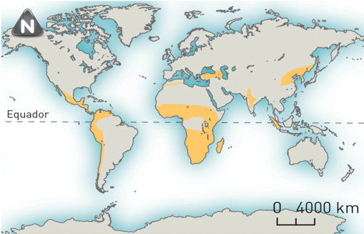 Principais áreas do mundo onde se pratica a agricultura de sequeiro.