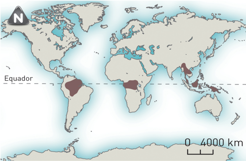 Principais áreas do mundo onde se pratica a agricultura itinerante.