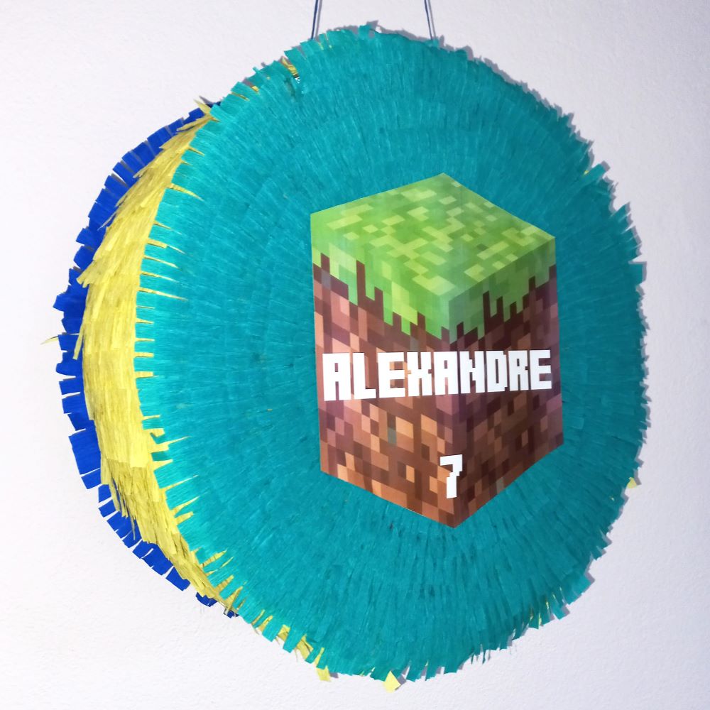 pinhata minecraft trás