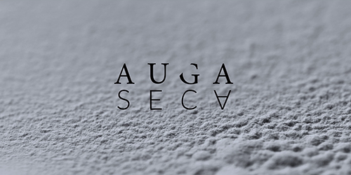 Auga Seca