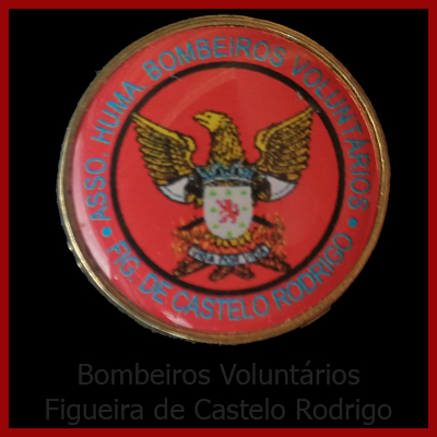 B. V. Figueira de Castelo Rodrigo