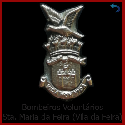 B. V. Santa Maria da Feira (Vila da Feira - Brasão Antigo)