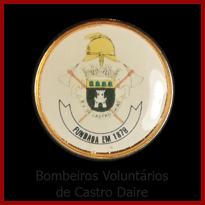 B. V. Castro Daire