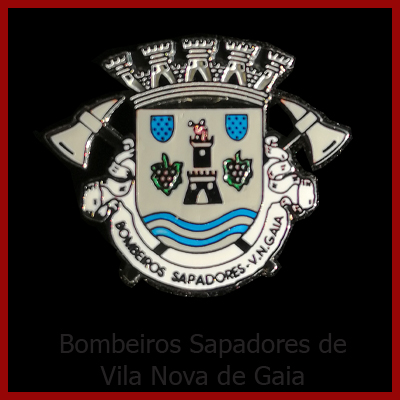 B. S. Vila Nova de Gaia