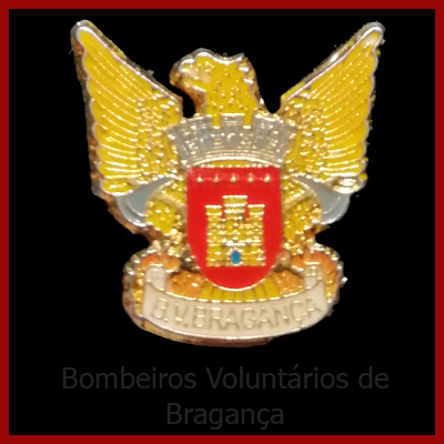 B. V. Bragança