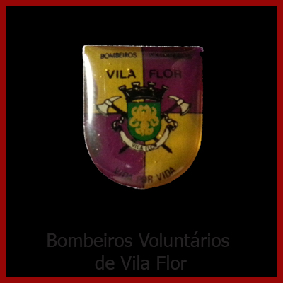 B. V. Vila Flor